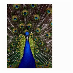 Peacock Large Garden Flag (Two Sides) from ArtsNow.com Back