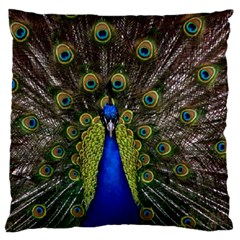 Peacock Large Cushion Case (Two Sides) from ArtsNow.com Back