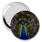 Peacock 3  Handbag Mirror