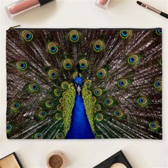Peacock Cosmetic Bag (XXXL) from ArtsNow.com Front
