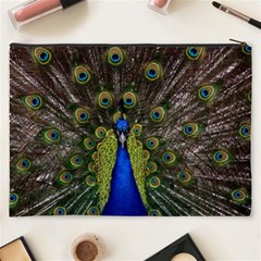 Peacock Cosmetic Bag (XXXL) from ArtsNow.com Back