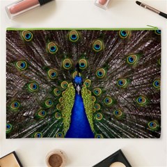 Peacock Cosmetic Bag (XXXL) from ArtsNow.com Back