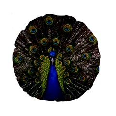 Peacock Standard 15  Premium Round Cushion  from ArtsNow.com Back