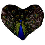 Peacock Large 19  Premium Heart Shape Cushion