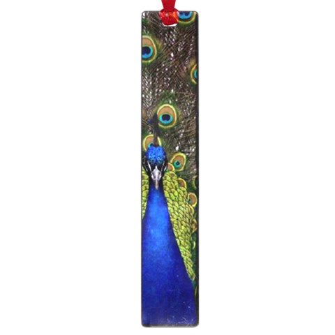Peacock Large Book Mark from ArtsNow.com Front