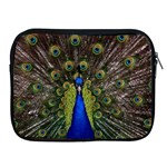 Peacock Apple iPad Zipper Case