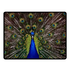 Peacock Double Sided Fleece Blanket (Small) from ArtsNow.com 45 x34  Blanket Back