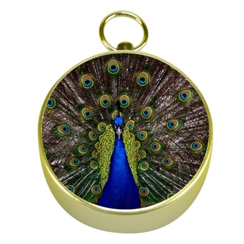 Peacock Gold Compass from ArtsNow.com Front