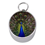 Peacock Silver Compass (Mini)