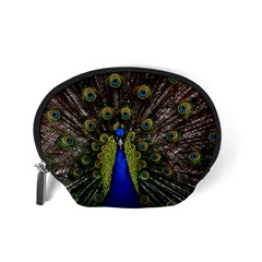 Peacock Accessory Pouch (Small) from ArtsNow.com Back