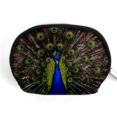 Peacock Accessory Pouch (Medium) from ArtsNow.com Front