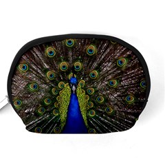 Peacock Accessory Pouch (Medium) from ArtsNow.com Back