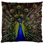 Peacock Standard Flano Cushion Case (Two Sides)