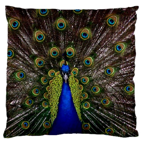 Peacock Large Flano Cushion Case (Two Sides) from ArtsNow.com Front