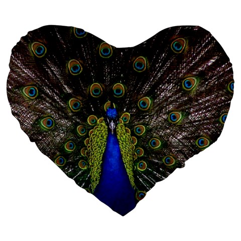 Peacock Large 19  Premium Flano Heart Shape Cushion from ArtsNow.com Front