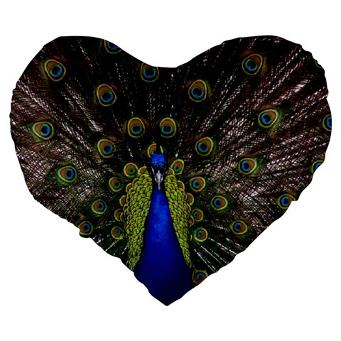 Peacock Large 19  Premium Flano Heart Shape Cushion from ArtsNow.com Back