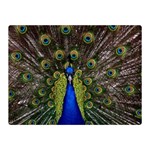 Peacock Double Sided Flano Blanket (Mini)