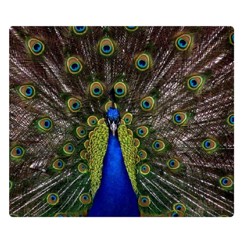 Peacock Double Sided Flano Blanket (Small) from ArtsNow.com 50 x40  Blanket Front
