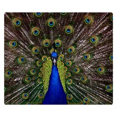 Peacock Double Sided Flano Blanket (Small) from ArtsNow.com 50 x40  Blanket Front