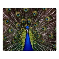 Peacock Double Sided Flano Blanket (Large) from ArtsNow.com 80 x60  Blanket Front