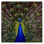 Peacock Large Satin Scarf (Square)