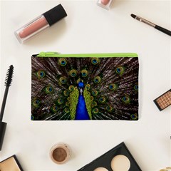 Peacock Cosmetic Bag (XS) from ArtsNow.com Front