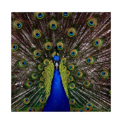 Peacock Duvet Cover (Full/ Double Size) from ArtsNow.com Front