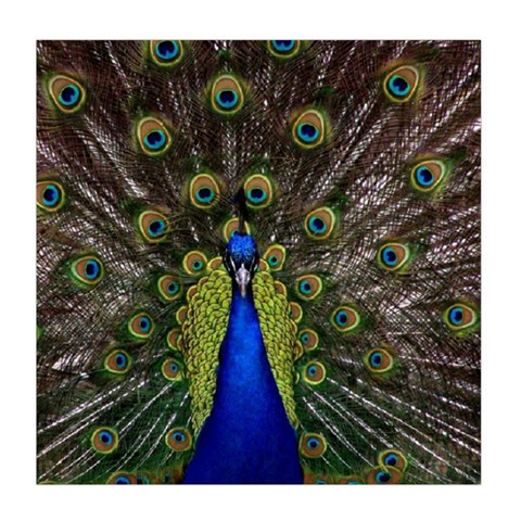 Peacock Duvet Cover Double Side (Queen Size) from ArtsNow.com Front