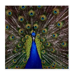 Peacock Duvet Cover Double Side (Queen Size) from ArtsNow.com Back