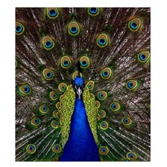 Peacock Duvet Cover Double Side (King Size) from ArtsNow.com Back