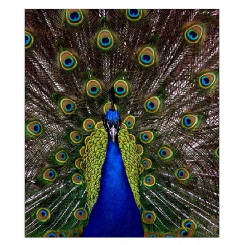 Peacock Duvet Cover Double Side (California King Size) from ArtsNow.com Front