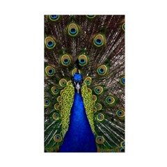 Peacock Duvet Cover Double Side (Single Size) from ArtsNow.com Back