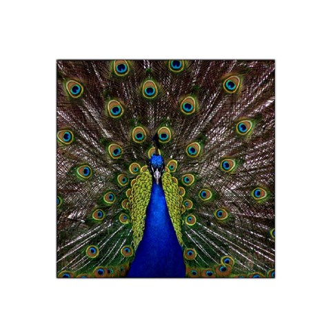 Peacock Satin Bandana Scarf from ArtsNow.com Front