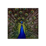 Peacock Satin Bandana Scarf