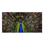 Peacock Satin Shawl