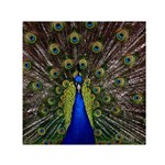 Peacock Small Satin Scarf (Square)