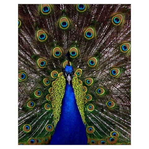 Peacock Drawstring Pouch (XL) from ArtsNow.com Front