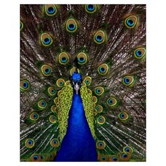 Peacock Drawstring Pouch (XL) from ArtsNow.com Back