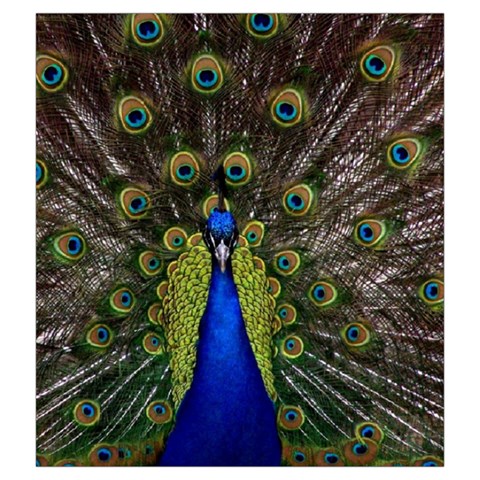 Peacock Drawstring Pouch (XXL) from ArtsNow.com Front