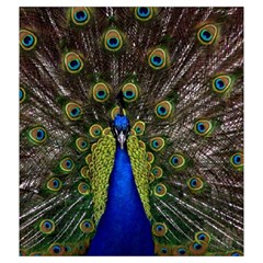 Peacock Drawstring Pouch (XXL) from ArtsNow.com Back