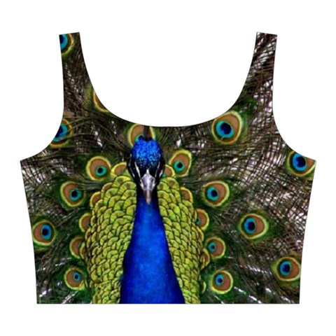 Peacock Midi Sleeveless Dress from ArtsNow.com Top Front