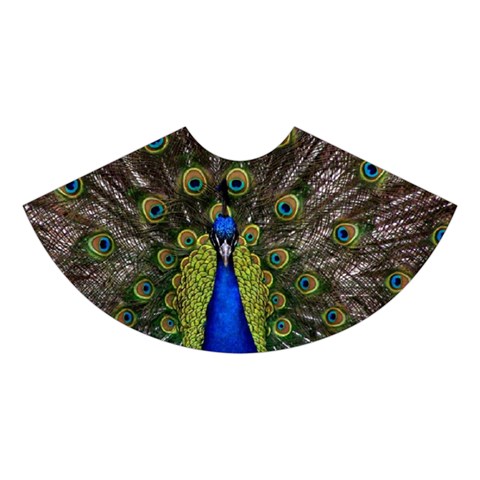 Peacock Midi Sleeveless Dress from ArtsNow.com Skirt Front