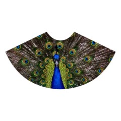 Peacock Midi Sleeveless Dress from ArtsNow.com Skirt Back