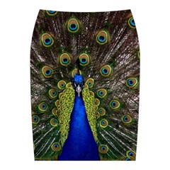 Peacock Midi Wrap Pencil Skirt from ArtsNow.com Back