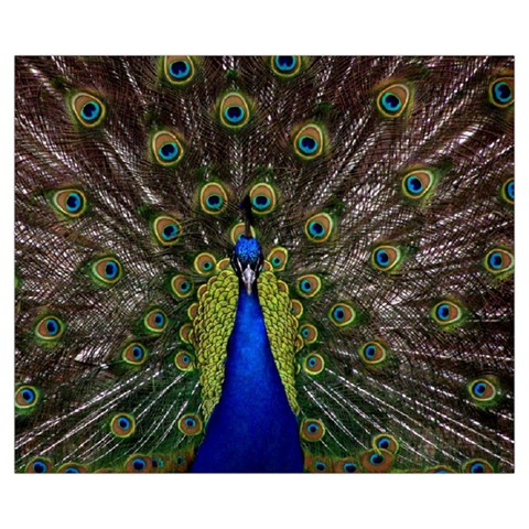Peacock Medium Zipper Tote Bag from ArtsNow.com Front