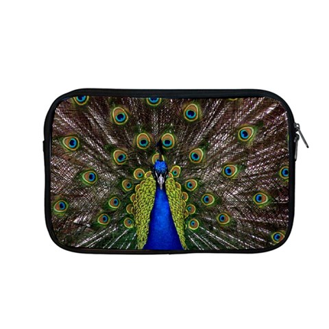 Peacock Apple MacBook Pro 13  Zipper Case from ArtsNow.com Front