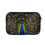 Peacock Apple MacBook Pro 13  Zipper Case
