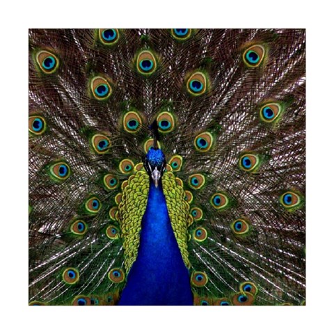 Peacock Square Tapestry (Large) from ArtsNow.com Front