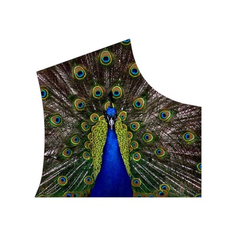 Peacock Women s Button Up Puffer Vest from ArtsNow.com Top Right