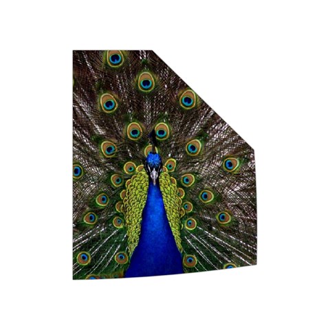 Peacock Women s Button Up Puffer Vest from ArtsNow.com Left Pocket